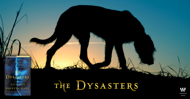 Dysasters Graphic 4.png
